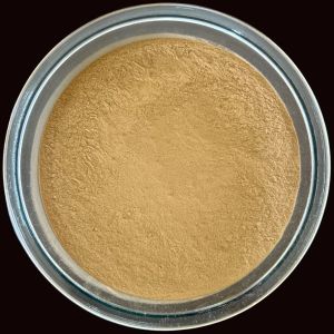 Hydrated Sodium Calcium Alumino Silicate For Toxin