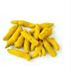 Yellow Turmeric Finger