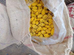 Raw Dried Turmeric Bulb, Color : Yellow