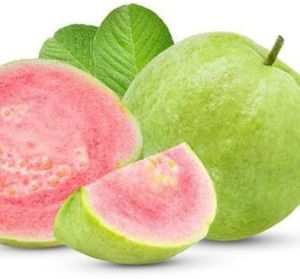 Taiwan Pink Guava