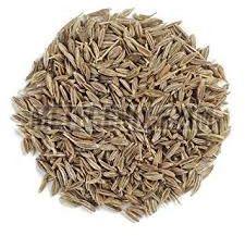 Raw Organic Cumin Seeds, Color : Brown Dried