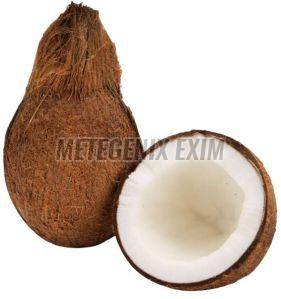 Hard Organic Husked Coconut, Color : Brown