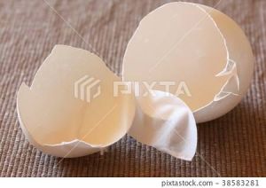 Egg Shell Membrane Powder