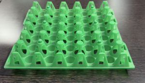Green Plastic Egg Tray, Weight : Lightweight