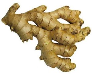 Organic Fresh Ginger for Cooking