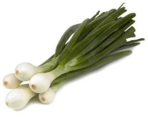 Fresh Green Onion, Cultivation Type : Organic for Cooking