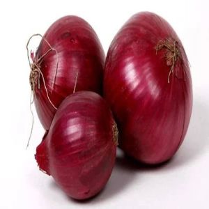 Fresh Red Onion, Cultivation Type : Organic for Cooking