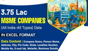 Msme Company Database Services