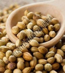 Brown Coriander Seeds, Packaging Size : 250g, 500g, 1Kg, 5Kg