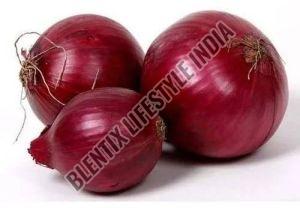 Fresh Red Onion Medium To Large, Packaging Type : Mesh Bag