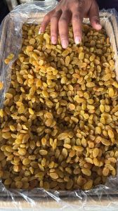 Dehydrated Grapes, Packaging Type : Packet, Shelf Life : 2 Years