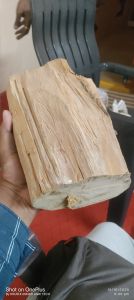 White Sandalwood Logs