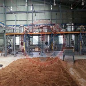 ST. John'S Wort Extraction Plant