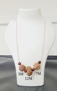 Rudraksha Combination