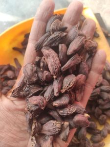 Black Cardamom