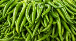 Common / Natural Fresh Green Chili