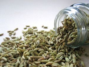 Fennel Seeds, Packaging Type : Plastic Bags Or Glass Jars