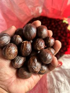 Nutmeg Spices Nutmeg Spices