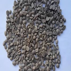 B Grade Unwashed Arabica Cherry Coffee Beans