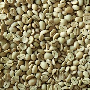 B Grade Washed Arabica Plantation Coffee Beans