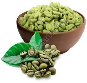 Aaa Grade Robusta Parchment Washed Coffee Beans