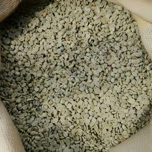 PB Arabica Washed Plantation Coffee Beans, Form : Seeds 6 Months