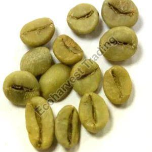 PB Robusta Parchment Washed Coffee Beans