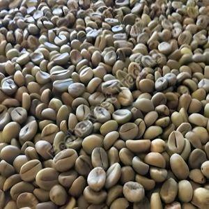 Robusta Cherry AA Unwashed Green Coffee Beans