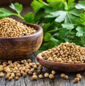 coriander seeds