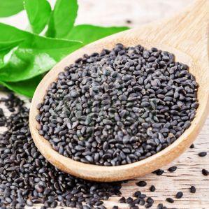 A Grade Black Basil Seeds, Seed Type : Natural