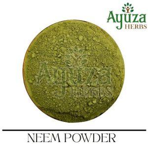 Neem Leaves Powder, Packaging Size : 25Kg, Packaging Type : Green