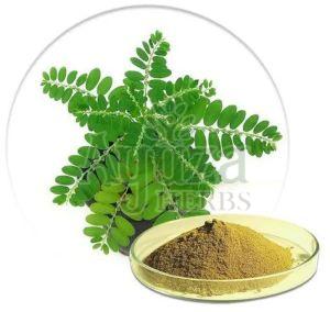 Bhui Amla Powder, Color : Green, Packaging Type : Resealable Pouch