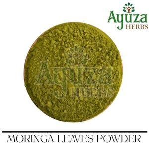 Moringa Leaves Powder, Packaging Type : LD PP Bag, Weight : 25