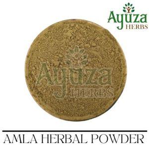 Natural Herbal Amla Powder, Packaging Size : 50g, 25Kg