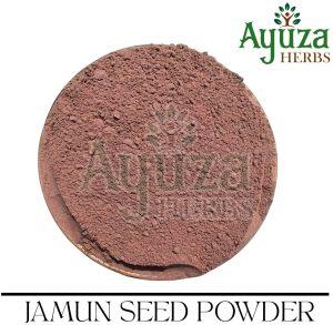 Natural Jamun Seeds Powder for Dietary Supplement