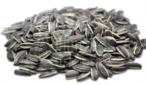 Natural Black Sunflower Seeds