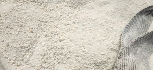 Lime Powder, Packaging Type : Plastic Bags