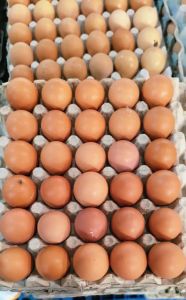 Brown Eggs Fresh, Packaging Type : Tray For Bakery Use