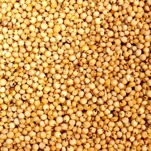 Yellow Sorghum Millet