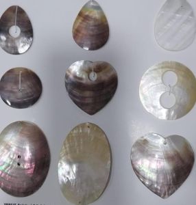 Mother OF Pearl Sea Shells for Jewellery, Decoration