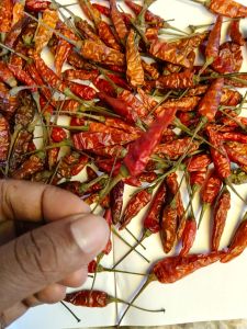 Red Natural Dried Birds Eye Chili, Packaging Size : 20Kg Food Grade