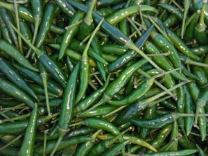 green chilli