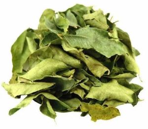 Dark Green Dried Whole Curry Leaves, Packaging Size : 250 Gm