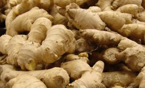 Fresh A Grade Ginger, Color : Brown, Form : Whole Root