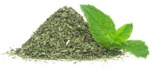 Mint Leaves Powder, Purity : 99%