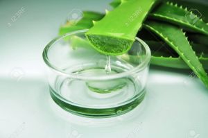 Transparent Herbal Aloe Vera Gel for Skin, Hair