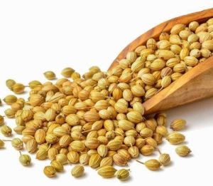Light Brown Whole Bold Grade Coriander Seeds, Packaging Size : 500g