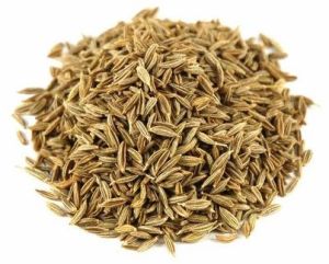 Brown Whole Premium Grade Cumin Seeds, Packaging Size : 500g
