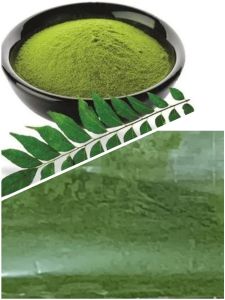 Tangy Green Chromophylls Curry Leaf Powder