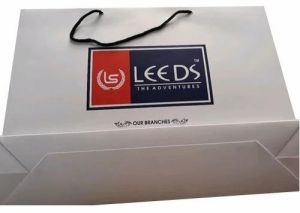 Apparel Packaging Paper Bag Medium